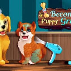 Become a Puppy Groomer unblocked